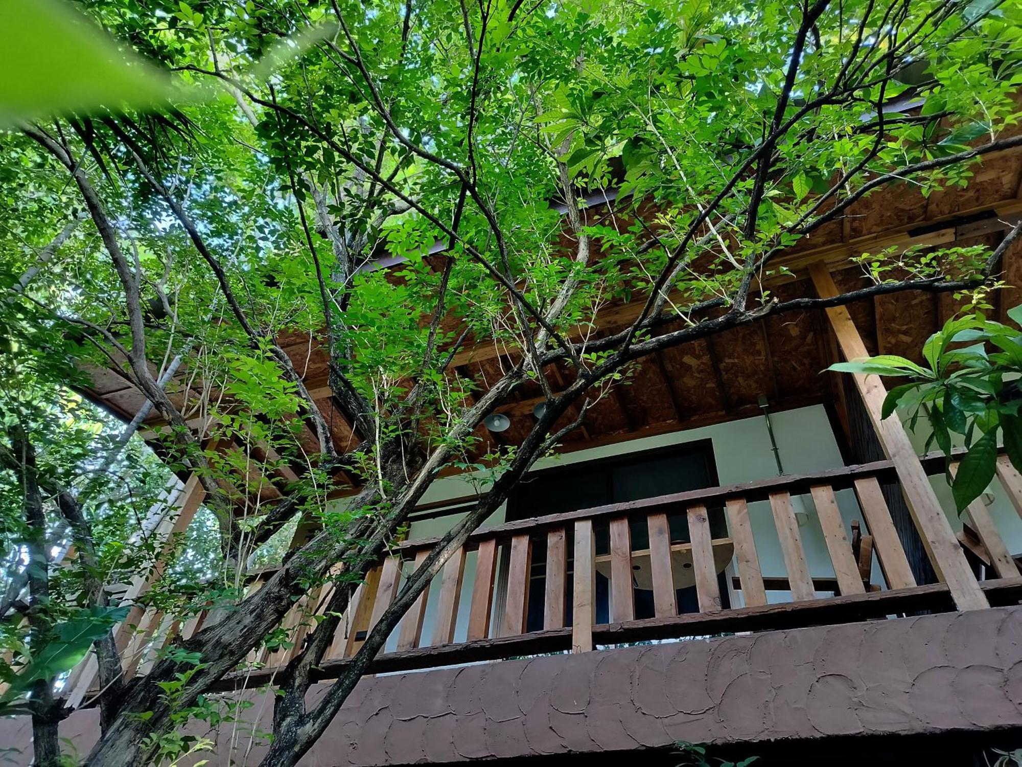 Oldy De Garden Aparthotel Chiang Mai Eksteriør bilde