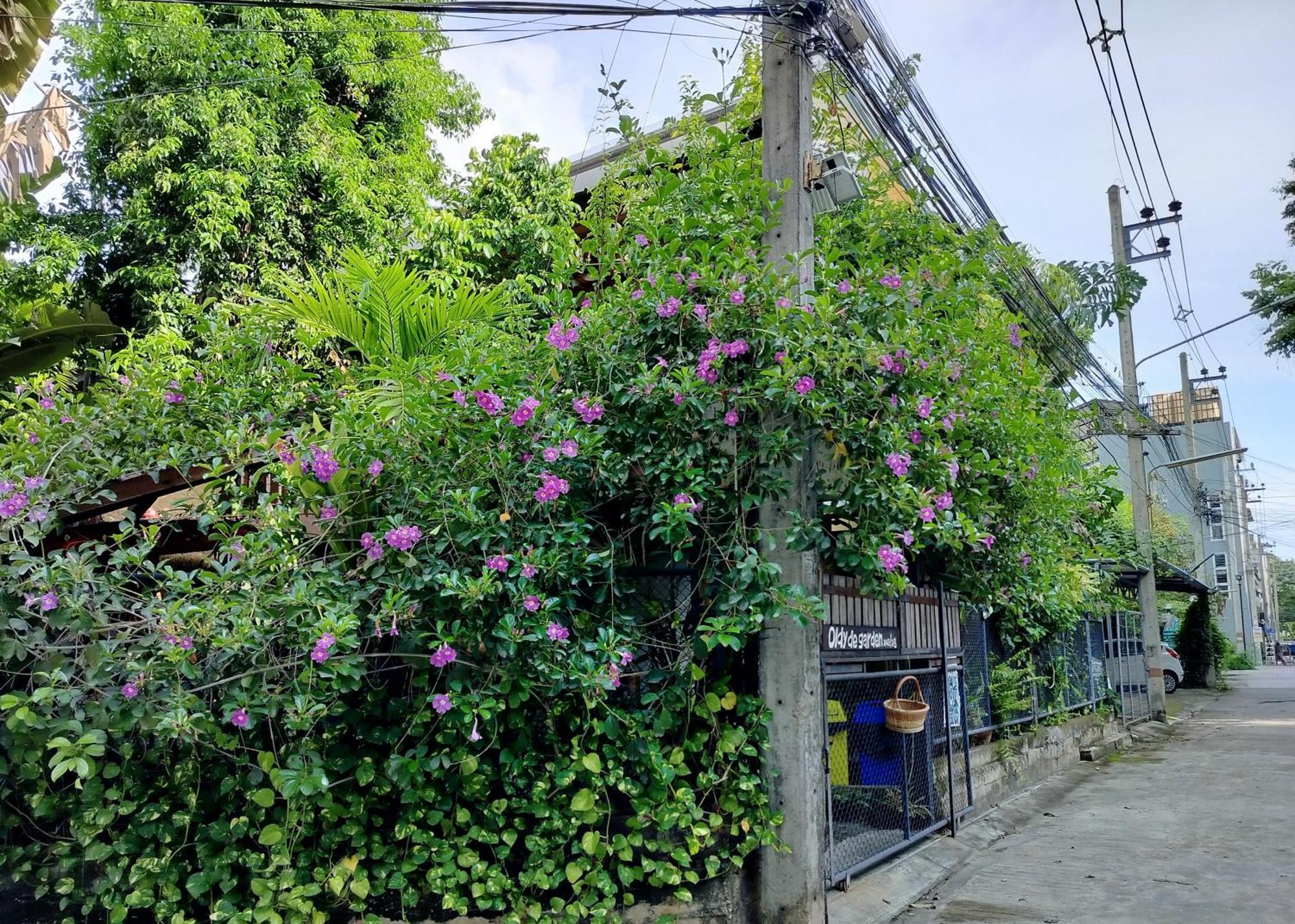 Oldy De Garden Aparthotel Chiang Mai Eksteriør bilde