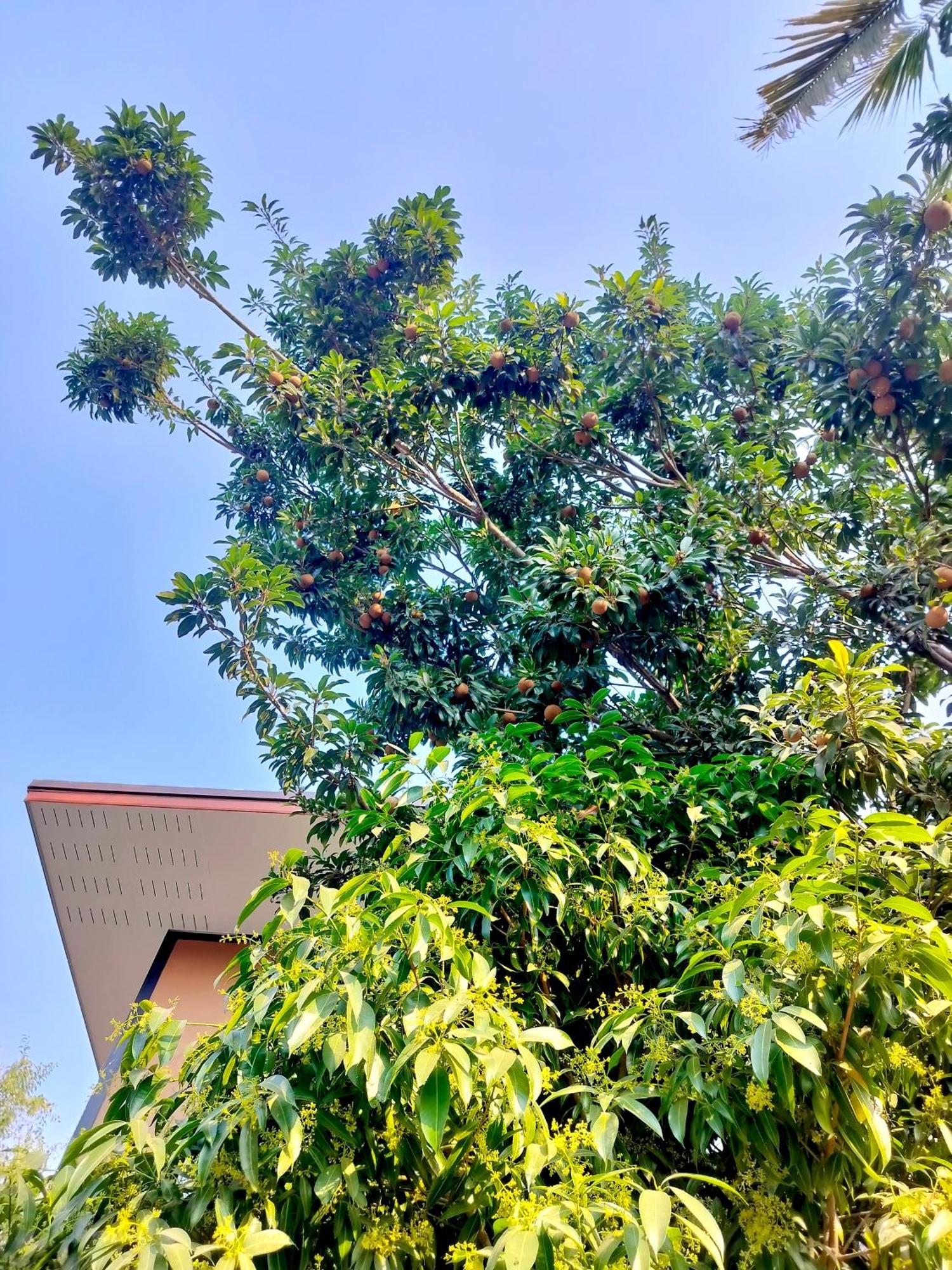 Oldy De Garden Aparthotel Chiang Mai Eksteriør bilde
