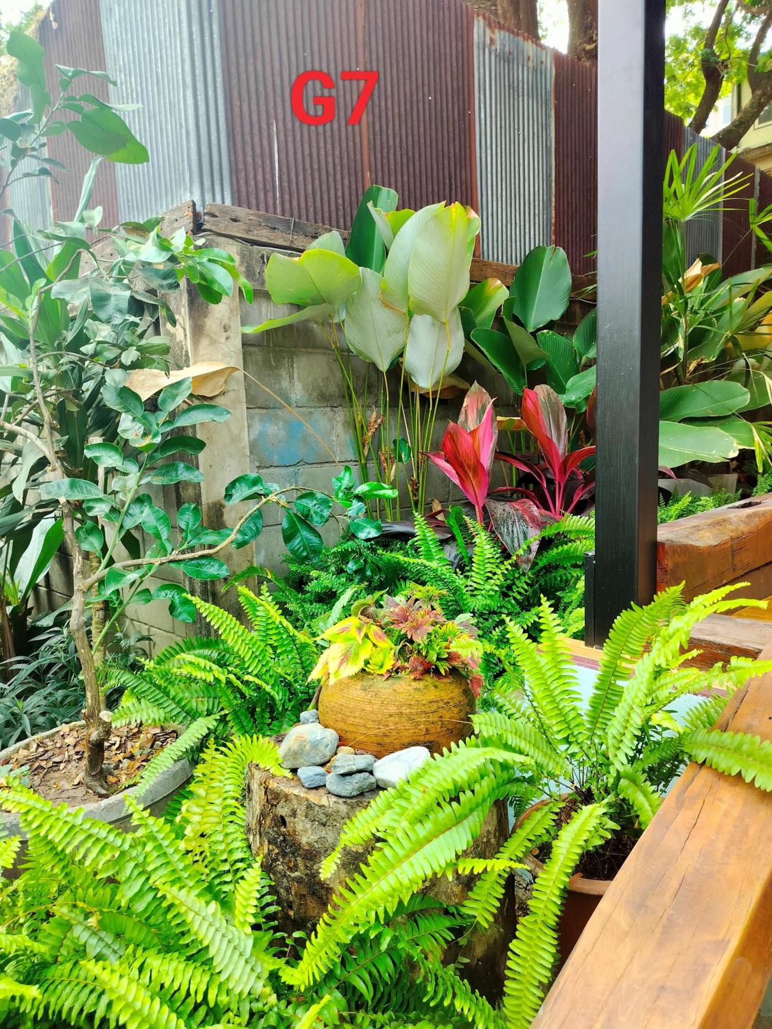 Oldy De Garden Aparthotel Chiang Mai Eksteriør bilde