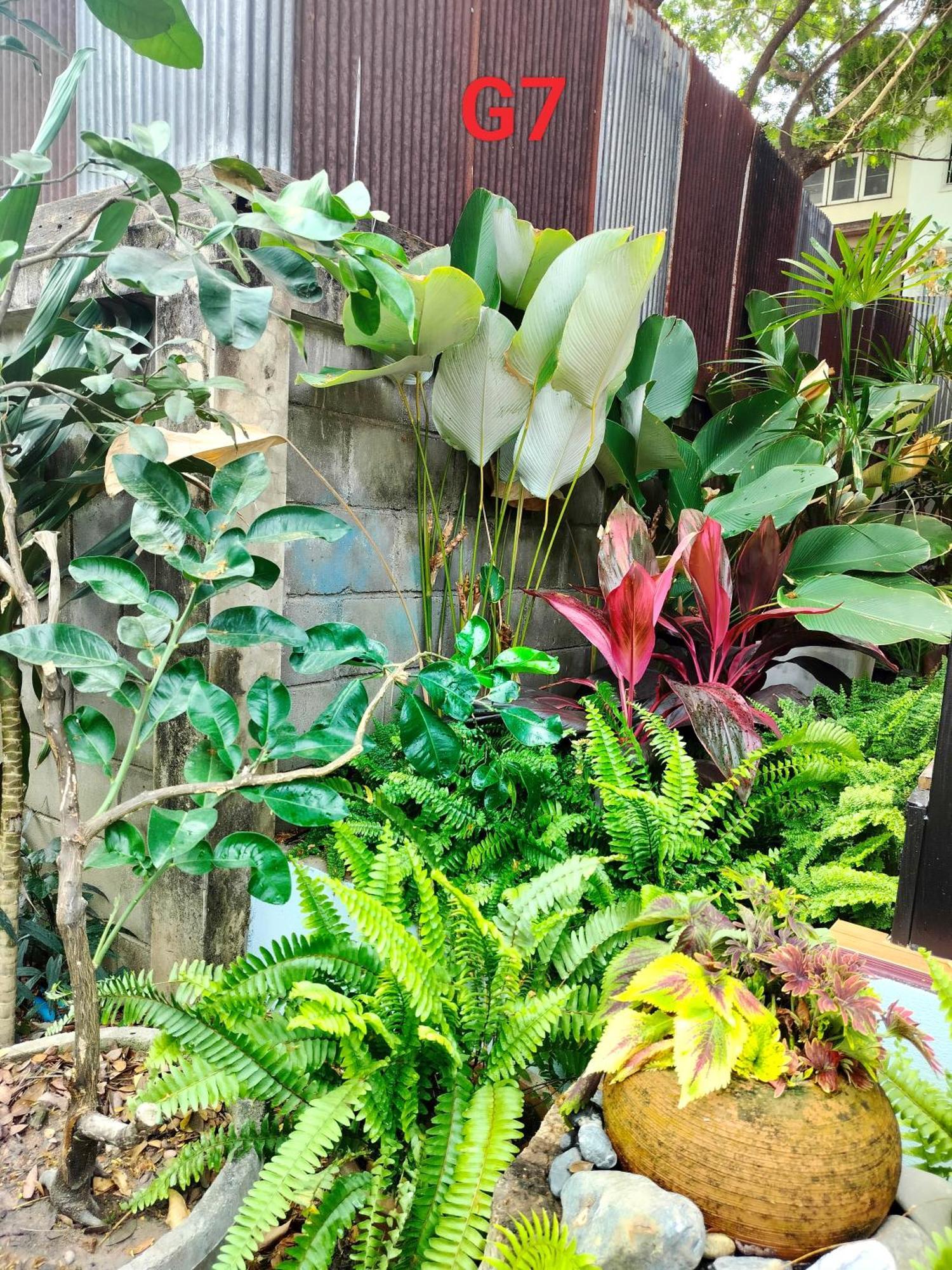 Oldy De Garden Aparthotel Chiang Mai Eksteriør bilde